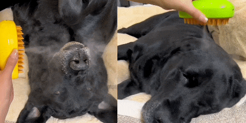 🐾 PROMO 2 X 1 🐾 CEPILLO VAPORIZADOR PRO MAX™ ➕ 🎁 CEPILLO DE SILICONA GRATIS! 🎁