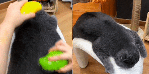 🐾 PROMO 2 X 1 🐾 CEPILLO VAPORIZADOR PRO MAX™ ➕ 🎁 CEPILLO DE SILICONA GRATIS! 🎁