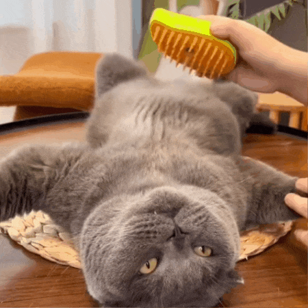 🐾 PROMO 2 X 1 🐾 CEPILLO VAPORIZADOR PRO MAX™ ➕ 🎁 CEPILLO DE SILICONA GRATIS! 🎁